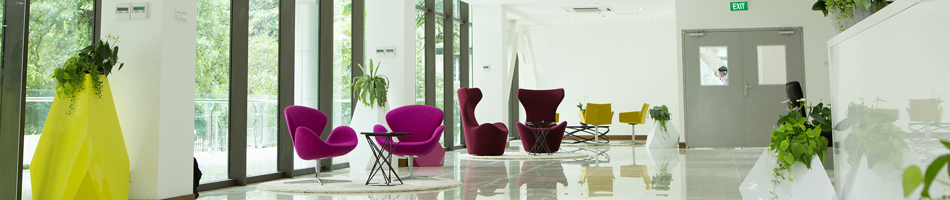 <br /> <b>Warning</b>:  Undefined variable $page_title in <b>/home/pyaygarden/public_html/web/app/themes/pyaygarden/content-slider.php</b> on line <b>20</b><br /> 